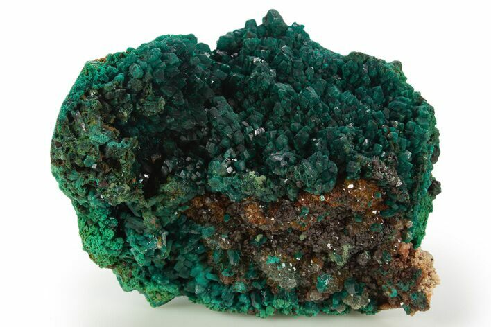 Dioptase Crystal Cluster on Quartz - Sanda, Congo #335202